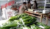 蔬菜配送及時(shí)提升食堂品質(zhì) 選專(zhuān)業(yè)性強(qiáng)食堂承包更放心